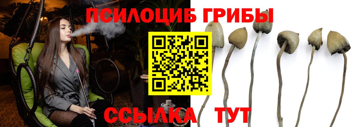 Псилоцибиновые грибы Усть-Илимск